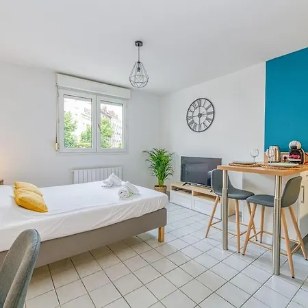 Apartment Moderne Et Cosy A 700m De La Gare Grenoble